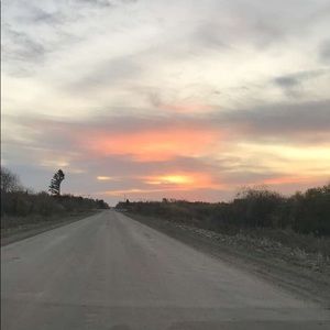 Meet your Posher, Payton